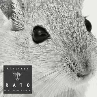 Rato by Marlokov