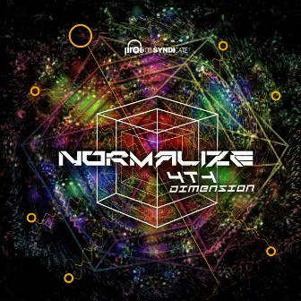 Fourth Dimension by Normalize