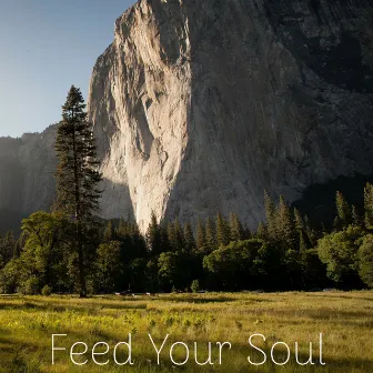 The Joy and Happiness by Feed Your Soul