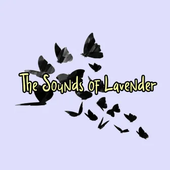 The sounds of lavender by 1gnis