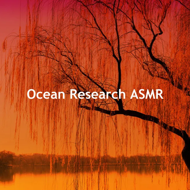 Ocean Research ASMR