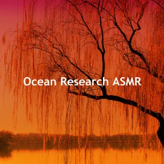 Ocean Research ASMR by Unknown Artist