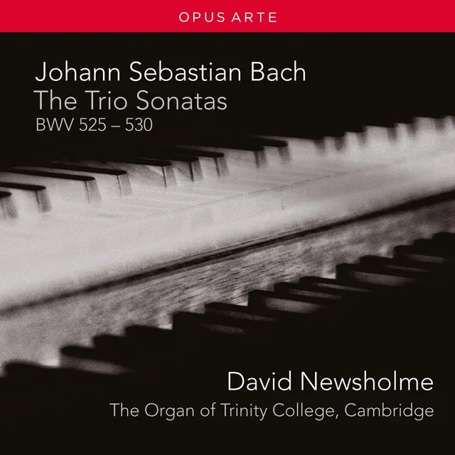 Trio Sonata No. 4 in E Minor, BWV 528: II. Andante