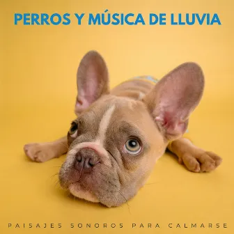 Perros Y Música De Lluvia: Paisajes Sonoros Para Calmarse by Radio de música para perros