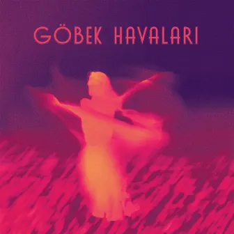 Göbek Havaları by Reha Falay