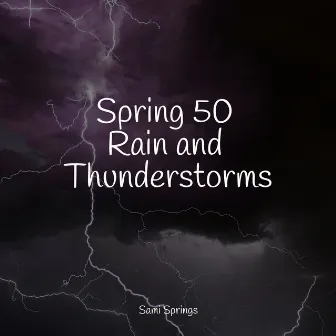 Spring 50 Rain and Thunderstorms by Calm Shores