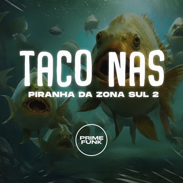 Taco nas Piranha da Zona Sul 2