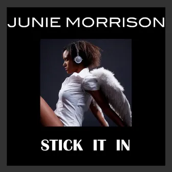 Stick It In by Junie Morrison