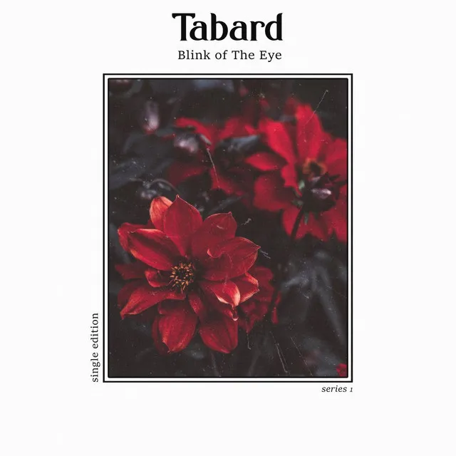 Tabard Series 1 - Blink of the Eye