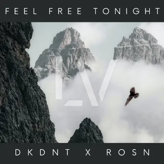 Feel Free Tonight by DKDNT