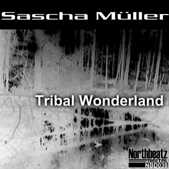 Tribal Wonderland Ep by Sascha Müller