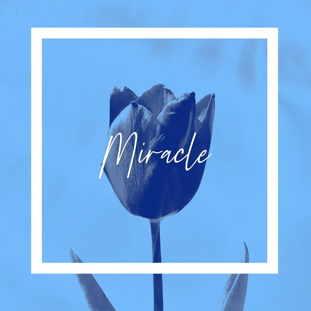 Miracle