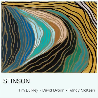 Stinson by Randy Mckean