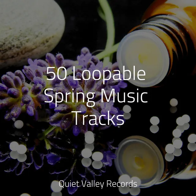 50 Loopable Spring Music Tracks