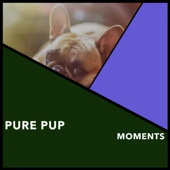 Pure Pup Moments by Relaxing Doggy Sleep