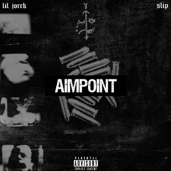 Aimpoint by Unknown Artist