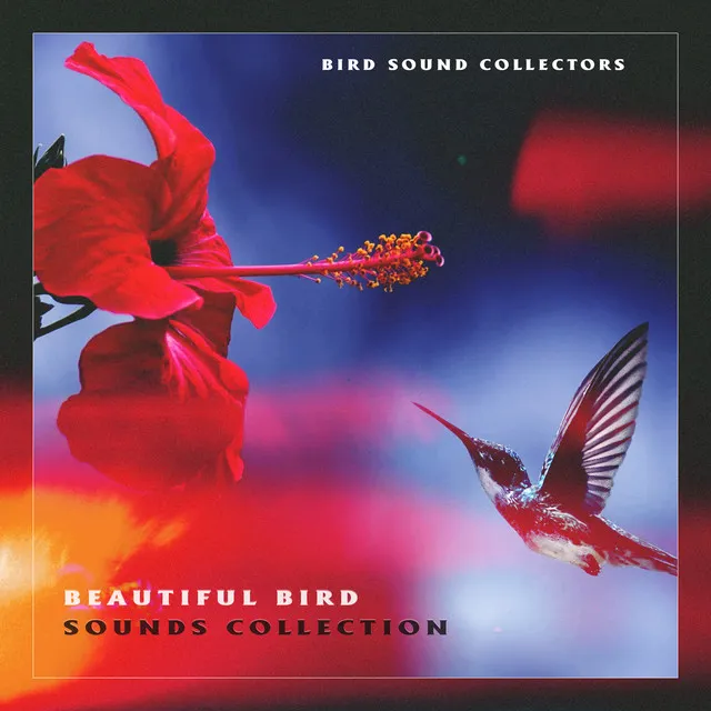 Beautiful Bird Sounds Collection