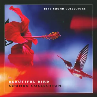 Beautiful Bird Sounds Collection by Bird Sound Collectors