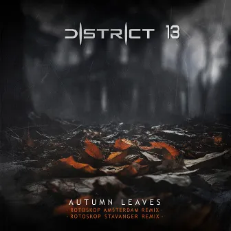 Autumn Leaves (The Rotoskop Remixes) by District 13