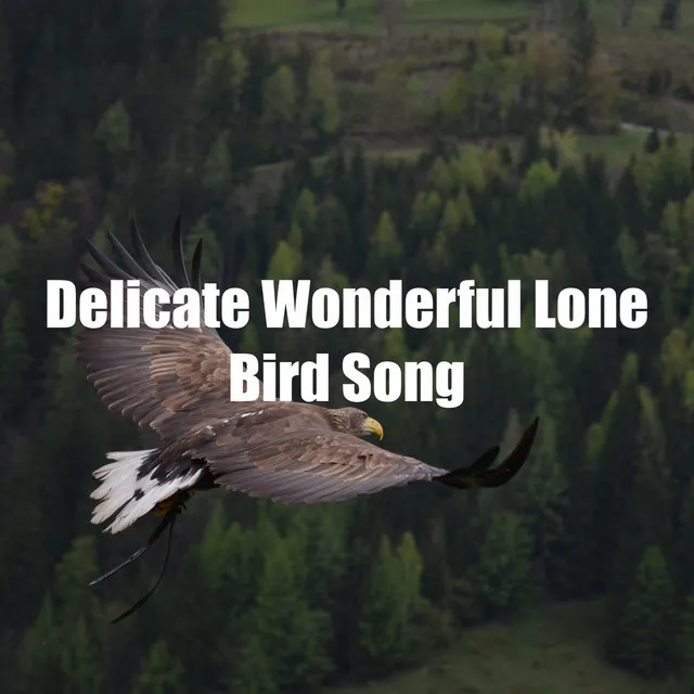 Delicate Wonderful Lone Bird Song