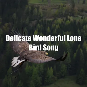 Delicate Wonderful Lone Bird Song by Nature Sounds & Nature Noise