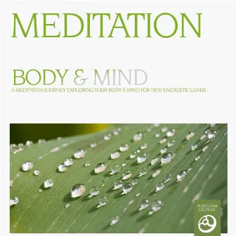 Meditation - Body and Mind by Chris Conway