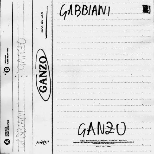 Gabbiani