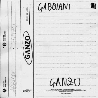 Gabbiani by No Label