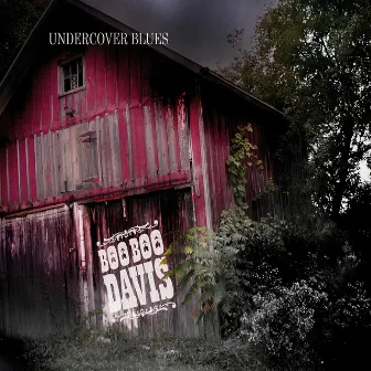 Undercover Blues by Boo Boo Davis