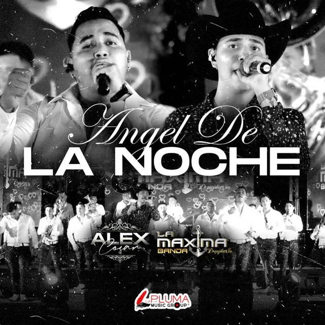 Angel de la Noche