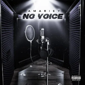 No Voice EP by Unknown Artist