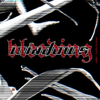 BLEEDING WINDOWS by Beatrix Weapons