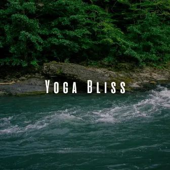 Yoga Bliss: Serene Bird Songs and River Sounds for Meditations by Birds on Television