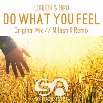 Do What You Feel by London & Niko