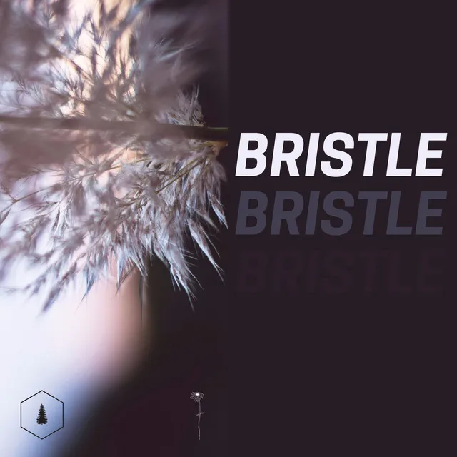 Bristle