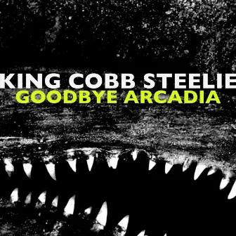 Goodbye Arcadia by King Cobb Steelie