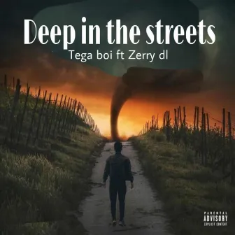 Deep in the streets by Zerrydl