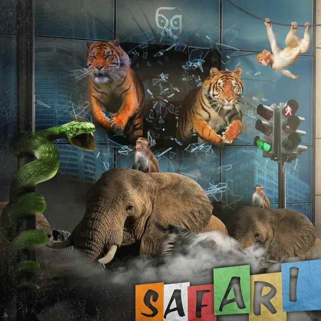 Safari