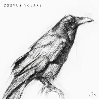 Corvus Volare by Rys