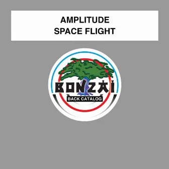 Space Flight by Amplitude