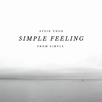 Simple Feeling by Stein Thor