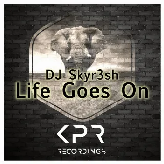 Life Goes On by DJ SKYR3SH