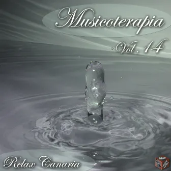 Musicoterapia, vol. 14 by Grande orchestra d'archi Maestro Tony Iglio