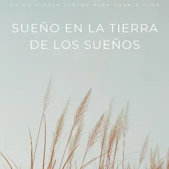 Sueño En La Tierra De Los Sueños: Ruido Blanco Sereno Para Dormir Asmr by Ruido de fondo de sueño profundo