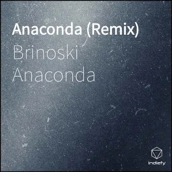 Anaconda (Remix) by Unknown Artist