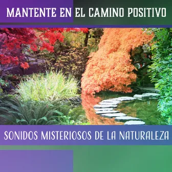 Mantente en el Camino Positivo - Sonidos Misteriosos de la Naturaleza (Diferente Forma de Relajación, Meditación Zen) by Academia de Sonidos de la Naturaleza para el Masaje