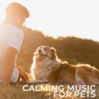 Calming Music For Pets by Nature Sounds Symphony