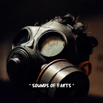 * sounds of farts * by Unknown Artist