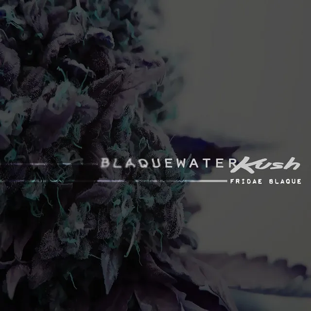 Blaque Water Kush