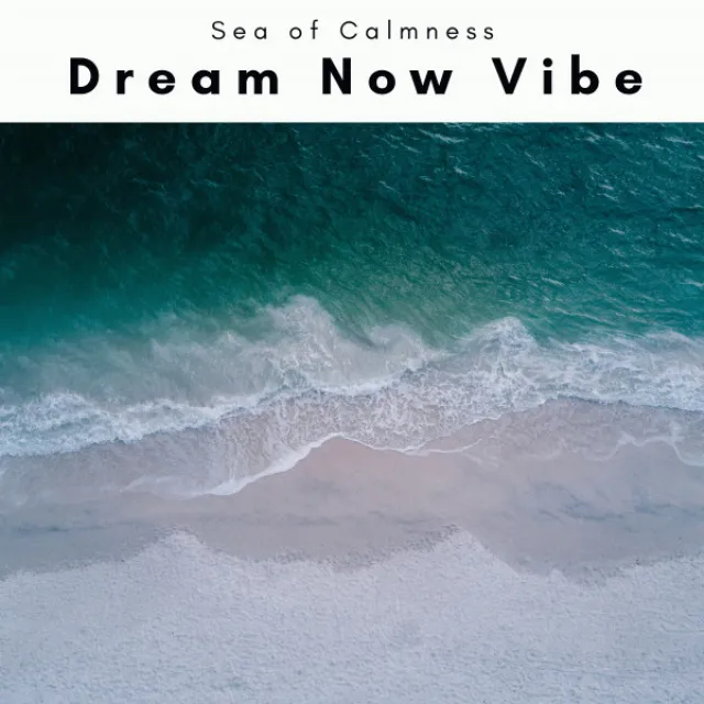 Dream Now Vibe